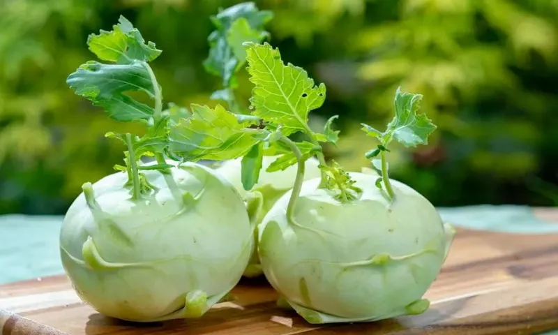 Su hào tốt cho sức khỏe Cu su hao va nhung loi ich bat n