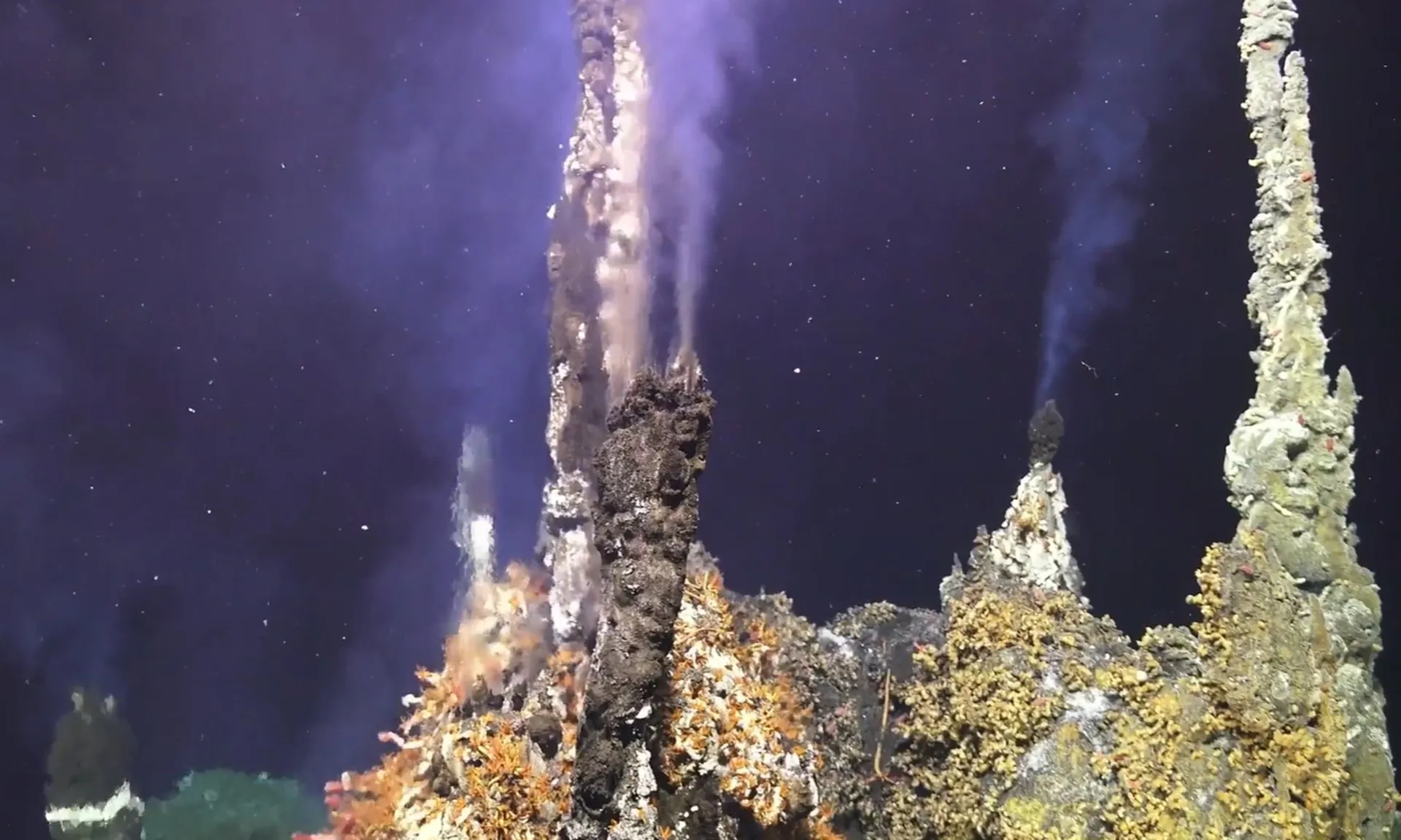 Núi lửa Axial Seamount Núi lửa Axial Seamount