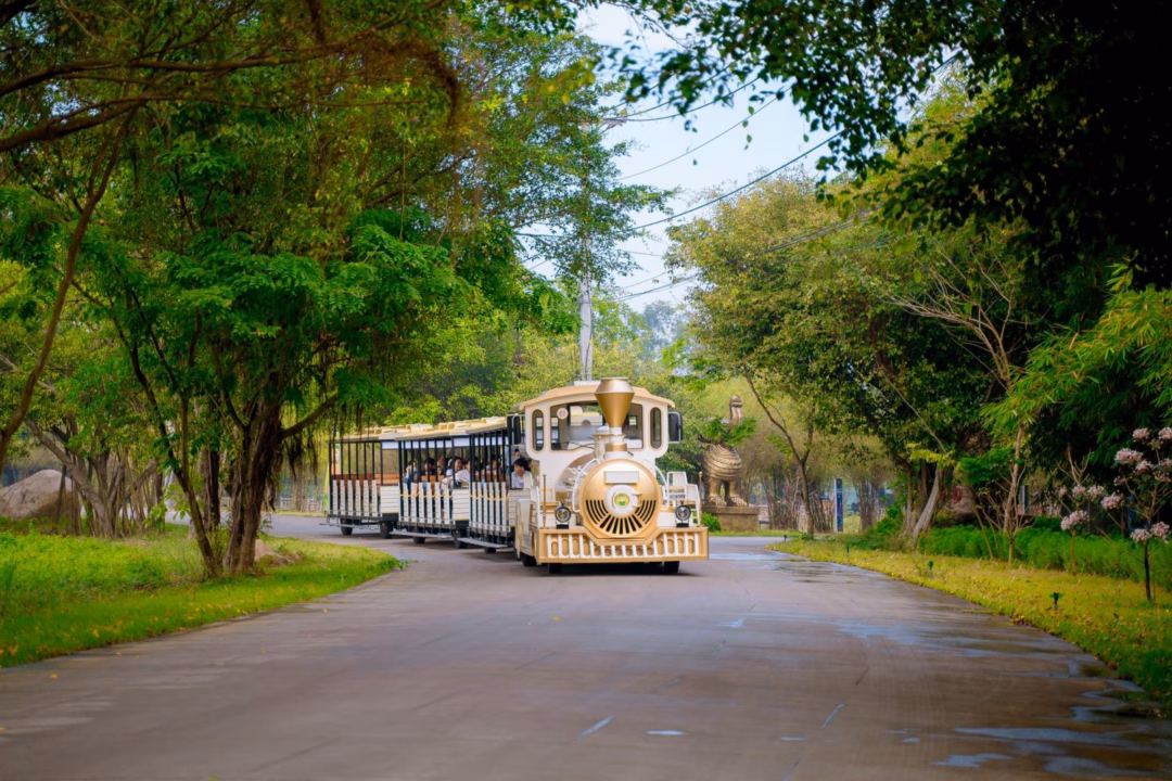 Cách di chuyển đến khu du lịch