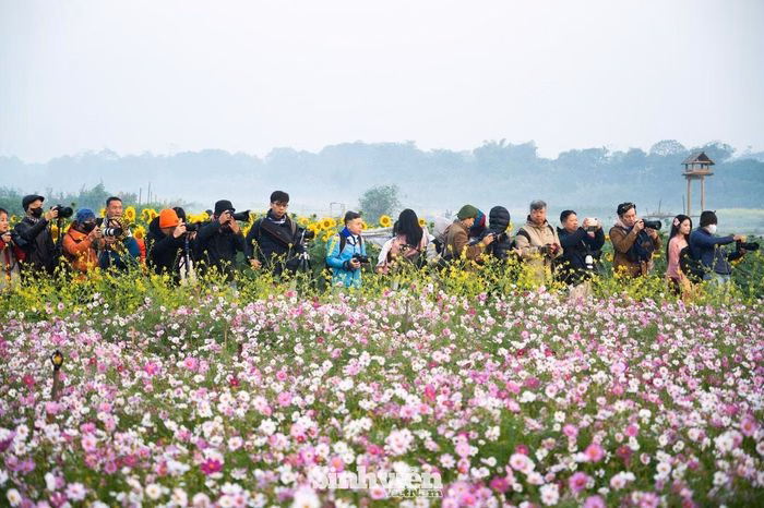 Bức ảnh b&igrave;nh minh qua lớp sương mỏng tại Bến hoa Ph&uacute;c X&aacute;