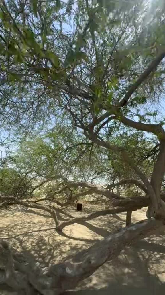 B&iacute; ẩn 400 năm ở quốc gia kh&ocirc;ng c&oacute; s&ocirc;ng tự nhi&ecirc;n