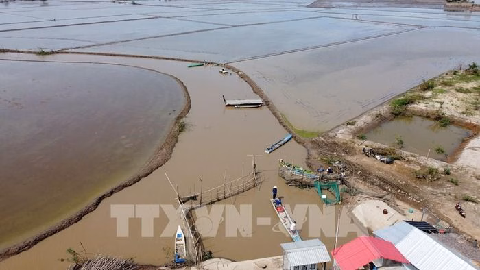 Khu vực nu&ocirc;i c&aacute; đồng tr&ecirc;n đồng ngập nước