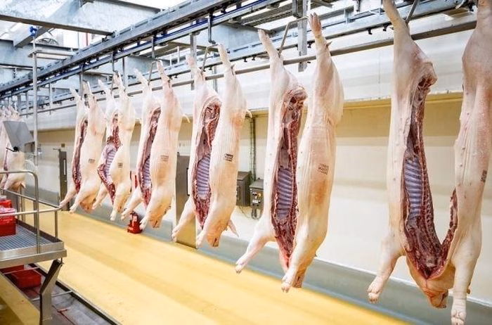 Đo&agrave;n kiểm tra li&ecirc;n ng&agrave;nh kiểm tra c&ocirc;ng t&aacute;c ph&ograve;ng chống dịch bệnh động vật TP.HCM