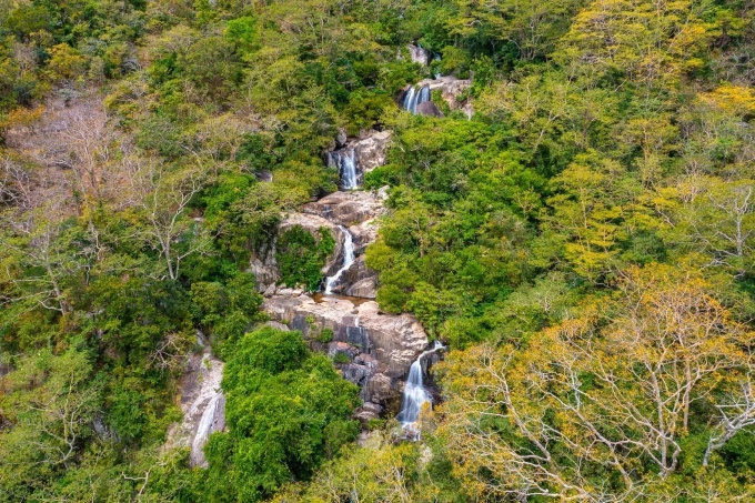 Khánh Hòa – Ngôi sao đang lên trong ngành du lịch Việt Nam Hệ thực vật vùng lõi tại Khu dự trữ sinh quyển thế giới Núi Chúa, Ninh Thuận. Ảnh: Huỳnh Văn Truyền