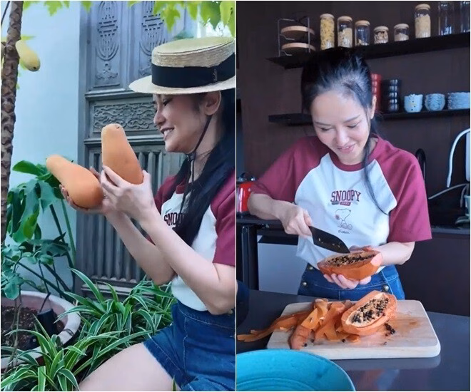 Ca sĩ Hồng Nhung hé mở không gian sân thượng penthouse với vườn hoa rực rỡ Khi đến độ thu hoạch, cô cũng ghi lại cảm xúc khi tự tay hái trái xuống vào để thưởng thức.