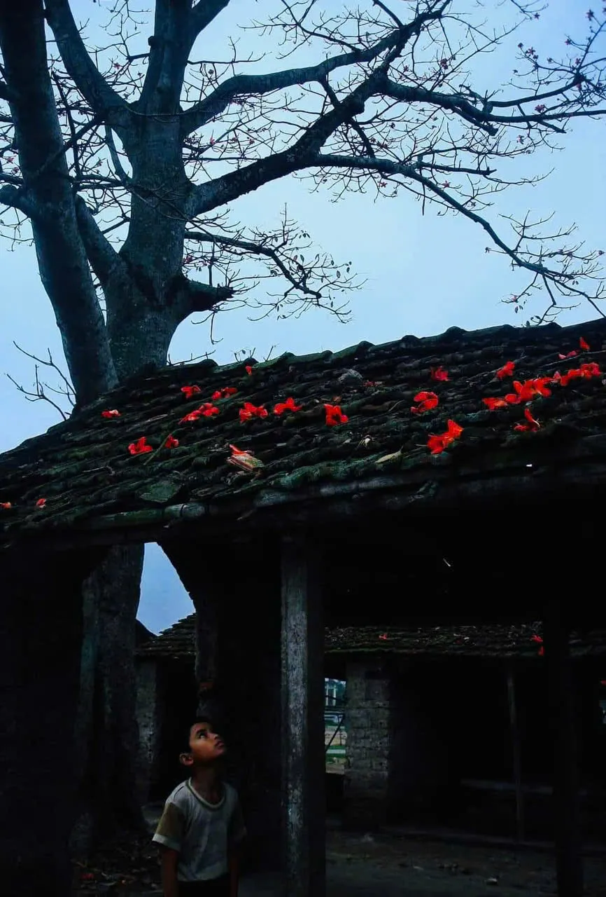 Hình ảnh trong phim "Xẩm Đỏ"