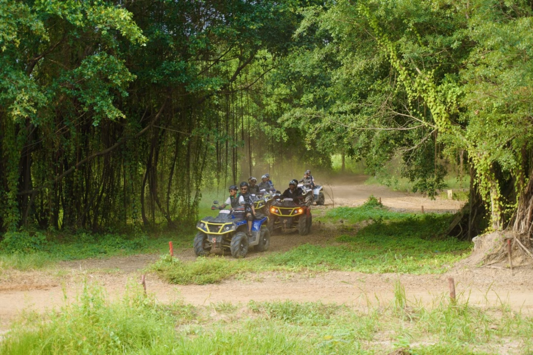 Khu du lịch Sơn Tiên – Thành phố du lịch sinh thái thông minh ở Đồng Nai Khu du lịch Sơn Tiên Đồng Nai: Giá vé 2025 mới nhất