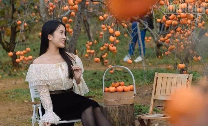 Du kh&aacute;ch chụp ảnh tại vườn hồng