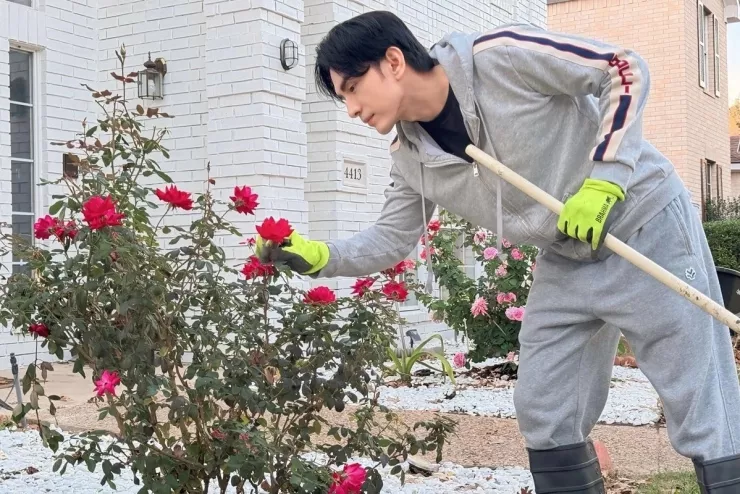 Đan Trường chăm chút cho những bụi hồng trước cửa nhà