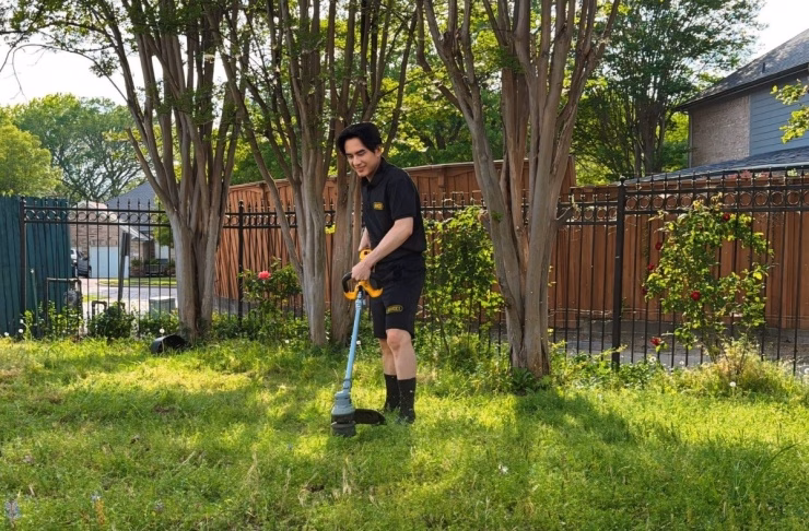 Vẻ đẹp của các loài hoa hồng tại nhà Đan Trường